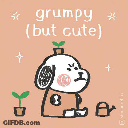 Grumpy Dog With Plant On Head GIF