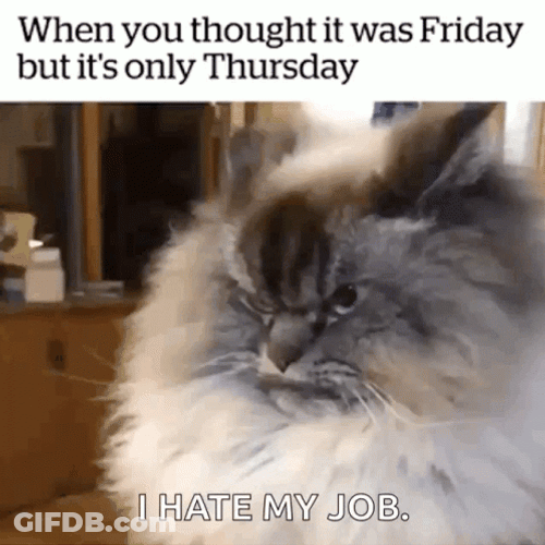 Grumpy Friday Work GIF