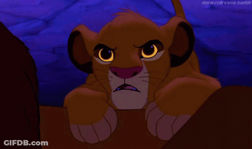 Grumpy Little Simba GIF