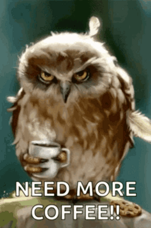 Grumpy Owl Needs Coffee GIF