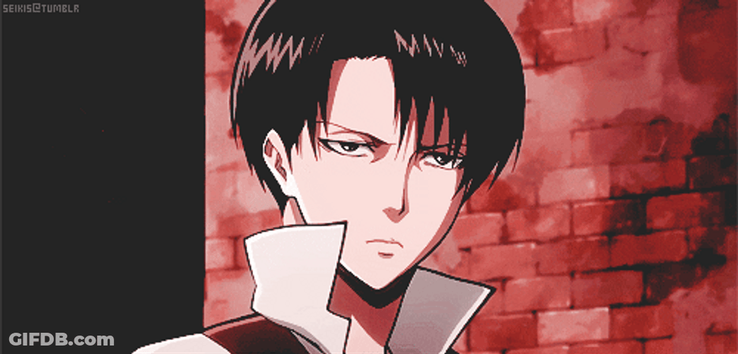 Grumpy Soldier Levi Ackerman GIF