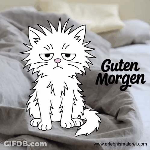 Grumpy White Cat Sitting On Bed Guten Morgen GIF