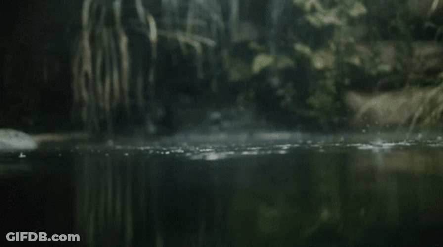 Grunge Aesthetic Dark Rainfall GIF