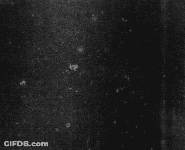 Grunge Aesthetic Glitch Mode GIF