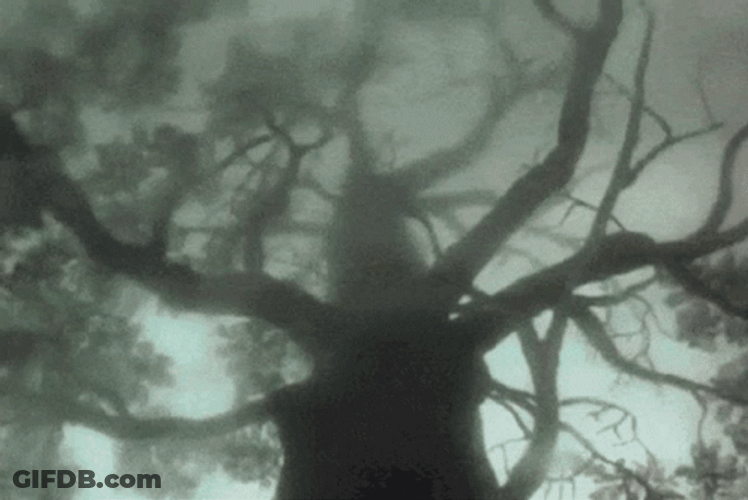 Grunge Fairycore Creepy Tree Halloween GIF