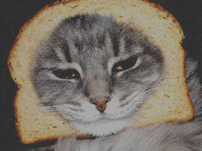 Grunge Style Cat Bread Glitch GIF