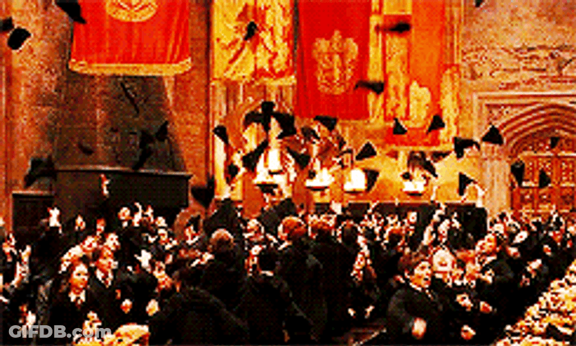 Gryffindor Hats Flying GIF