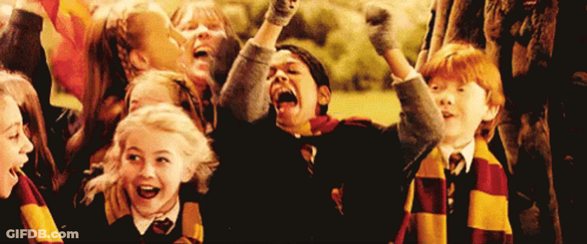 Gryffindor Winning GIF