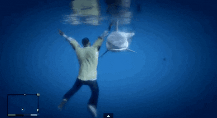 GTA Guy Shark Encounter GIF