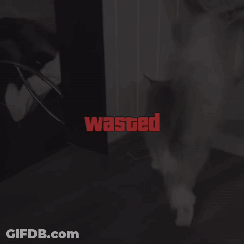 Gta Wasted Cat Falling Down GIF