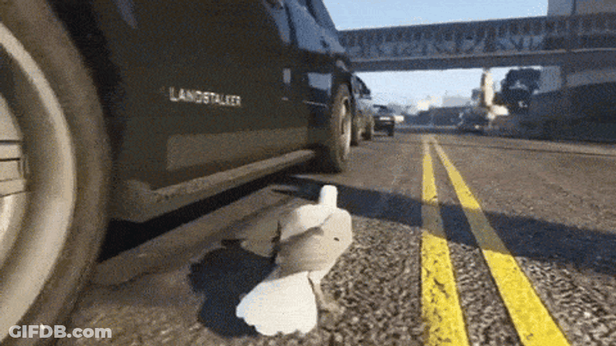 Gta5 Pigeon Carnapping Funny GIF