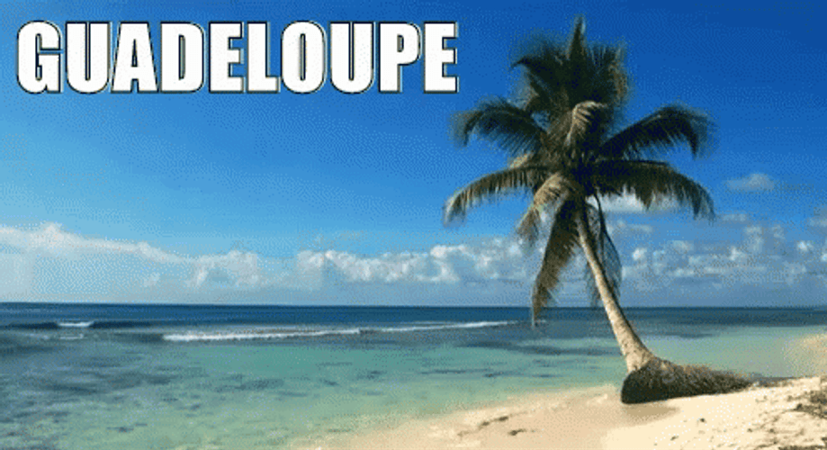 Guadeloupe Beach Shore GIF