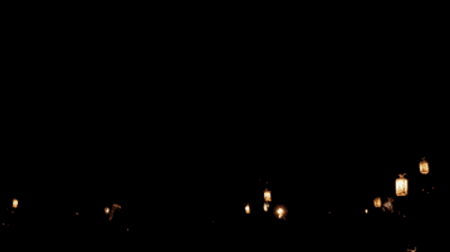 Guam Beautiful Fireworks Dog GIF