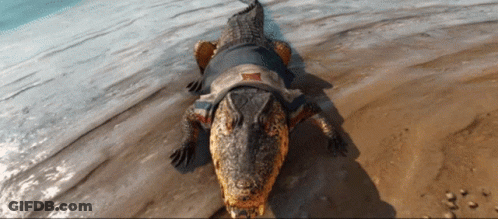 Guapo Far Cry Guapo GIF