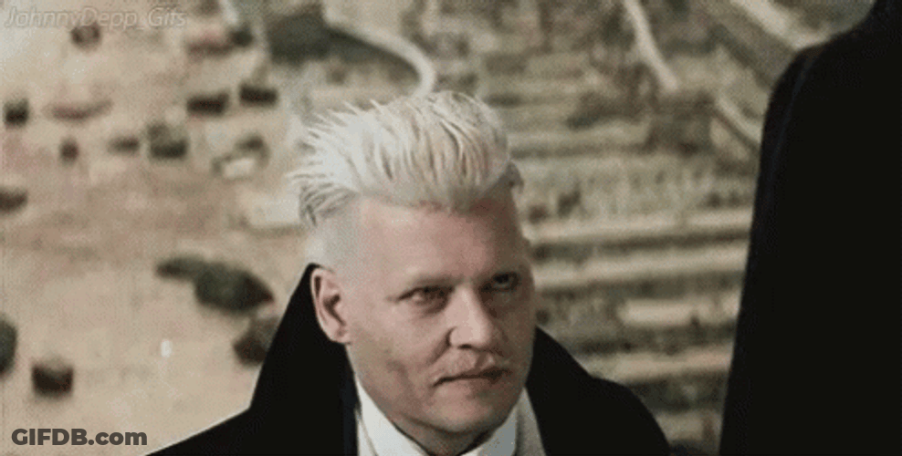 Guard Arresting Gellert Grindelwald GIF