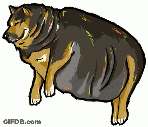 Guard Dog Having Diabeetus GIF