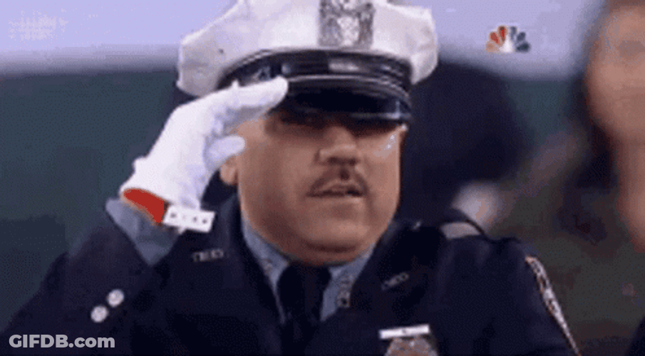 Guard Salute Meme GIF