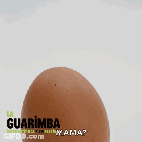 Guarimba Film Festival Stuffed Chicken Emerging From Egg GIF