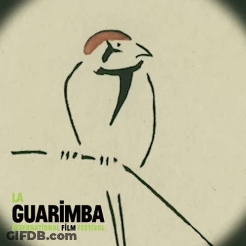 Guarimba International Film Festival Bird Poster GIF