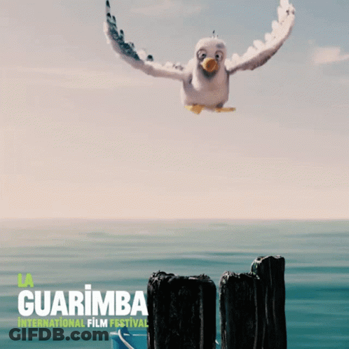 Guarimba International Film Festival Seagull GIF