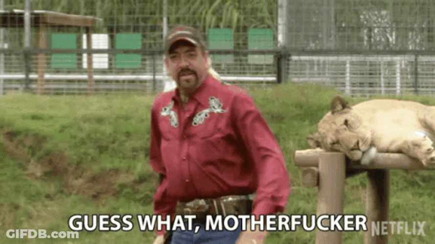 Guess What Tiger King GIF