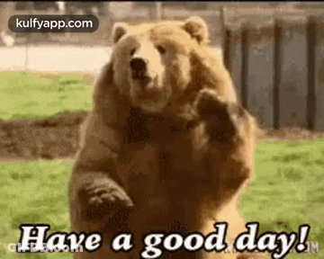 Guess Who's Finally GIF