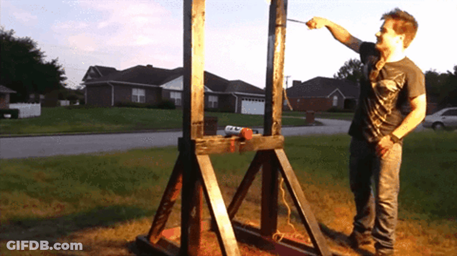 Guillotine Gender Reveal GIF