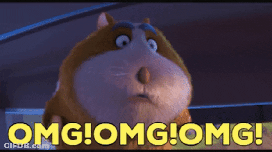Guinea Pig Animation Omg Reaction GIF