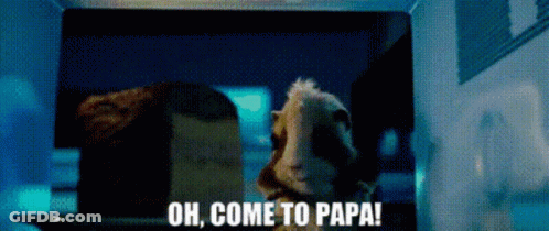 Guinea Pig Looking Out Microwave Oh Come To Papa GIF