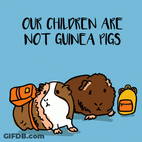 Guinea Pig Saying Our Children Are Not Guinea Pigs GIF