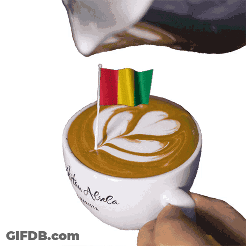 Guinea Republic Of Guinea GIF