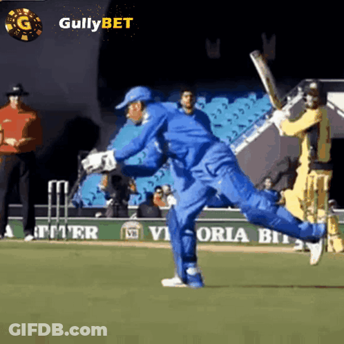 Gullybet Cricket GIF