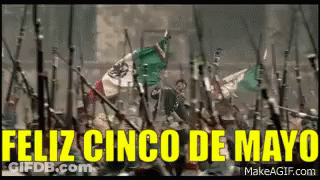 Guns On Ground Feliz Cinco De Mayo GIF