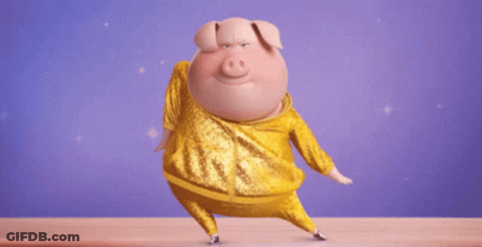 Gunter Dancing Animal GIF