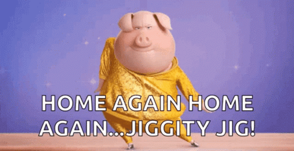 Gunter Sing Dancing Home Again GIF