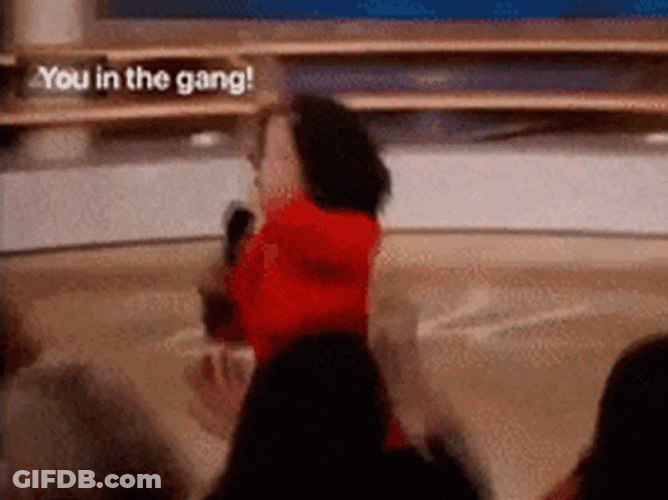 Gutter Cat Gang Oprah GIF
