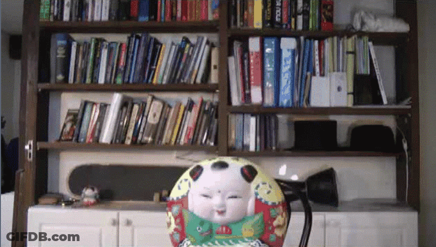 Guy Breaking Hungary Dolls GIF