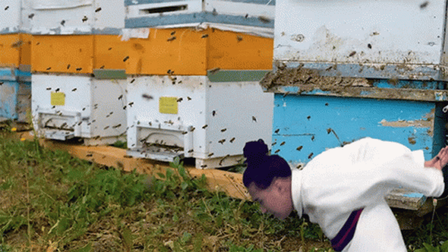 Guy Chasing Off Bees GIF