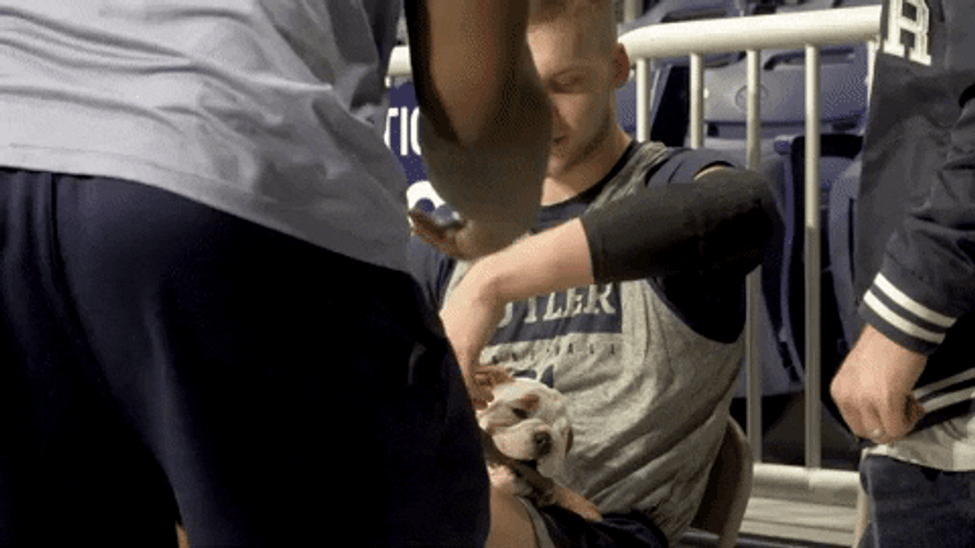 Guy Holding English Pitbull Part Of Butler Bulldogs Team GIF