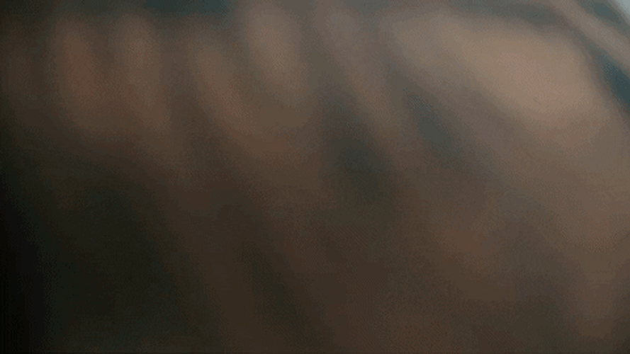 Guy Making It Rain Money GIF