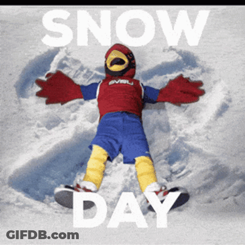 Guy On Hawks Mascot Enjoying Snow Day GIF