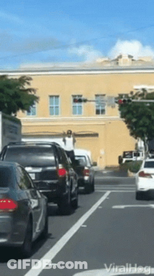 Guy Performing At The Back Of A Car While Traffic GIF