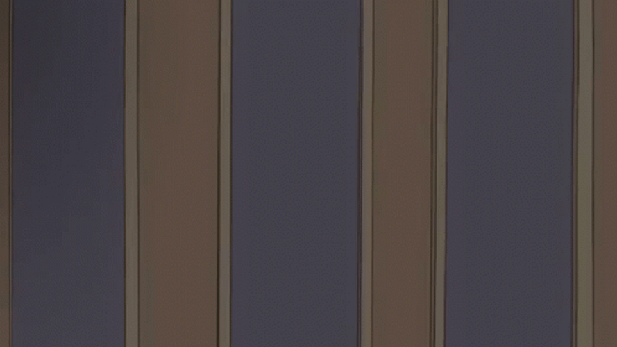 Guy Surprised Anime Happy Birthday GIF