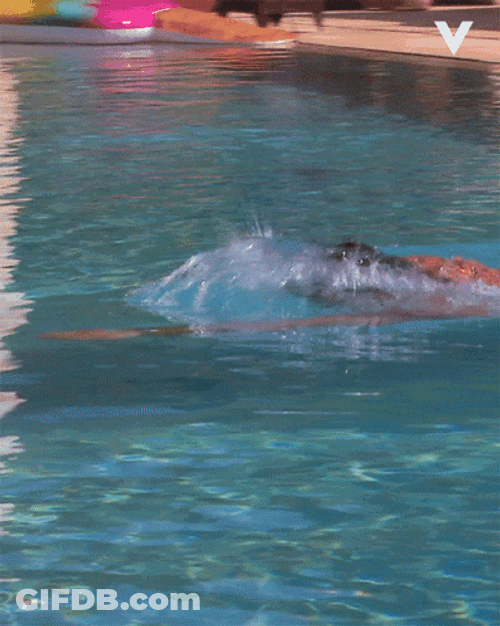 Guy Swim In The Pool GIF