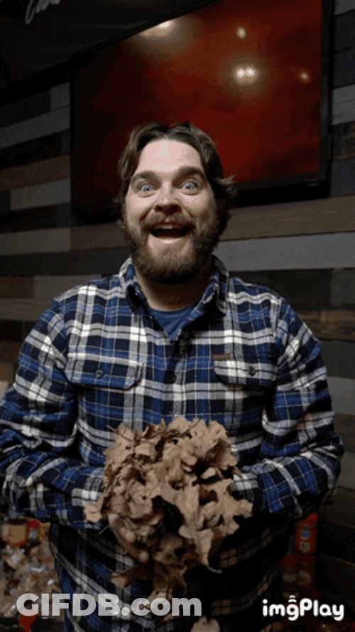 Guy Throws Fall Leaf GIF
