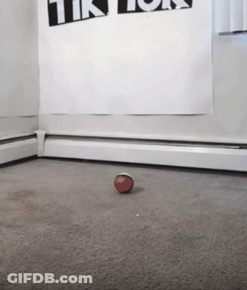 Guy Wearing Pokemon Magikarp Costume GIF