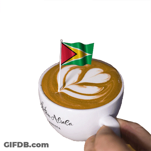 Guyana Flag Cappuccino GIF
