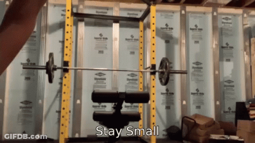 Gym Barbell Stay Small GIF