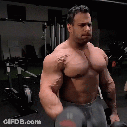Gym Body Builder Lifting Dumbbell GIF