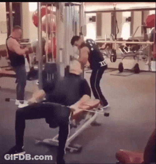 Gym Rat Wild Bench Press Work Out GIF
